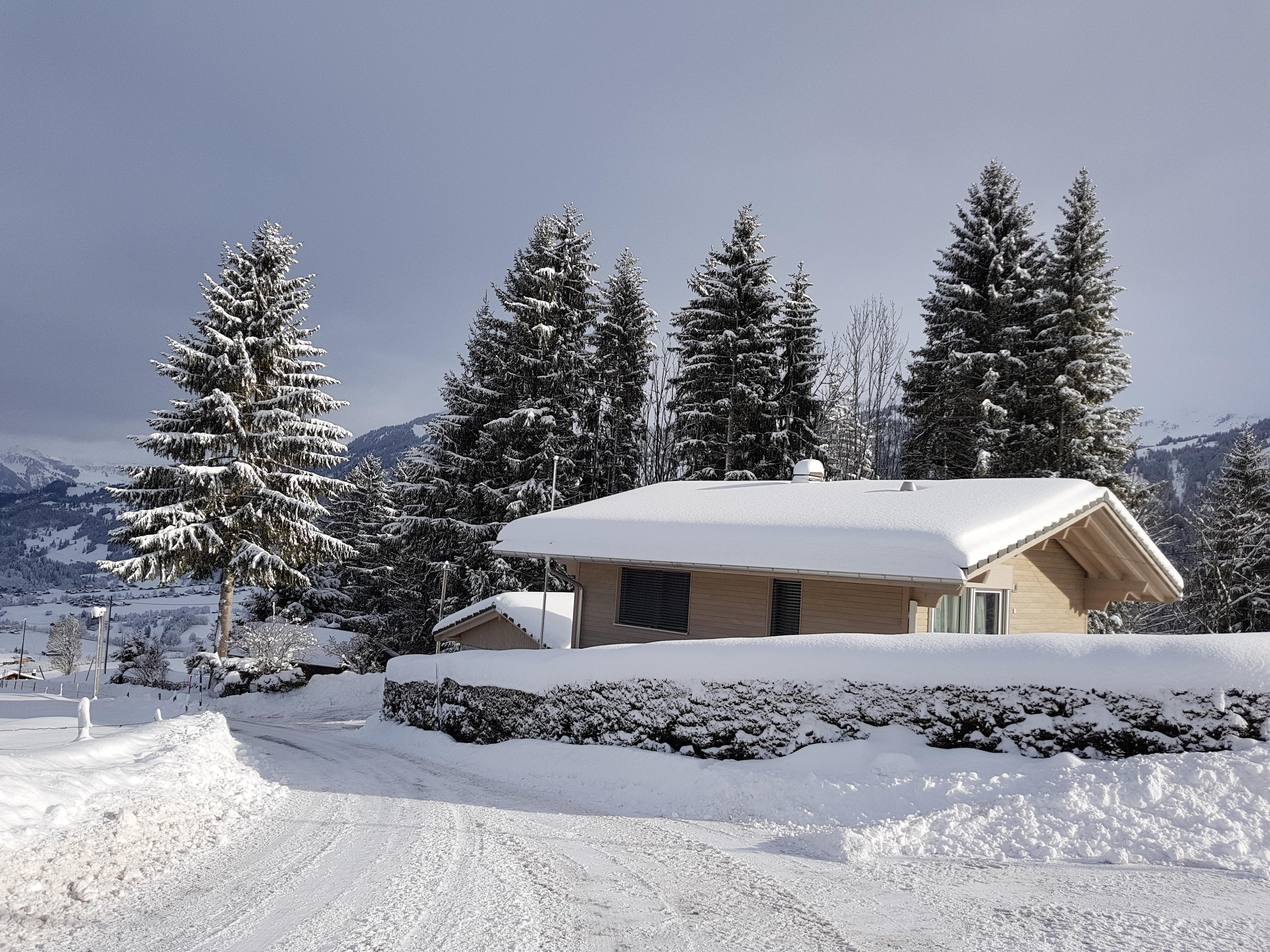 Ansicht des Chalet in Zweisimmen