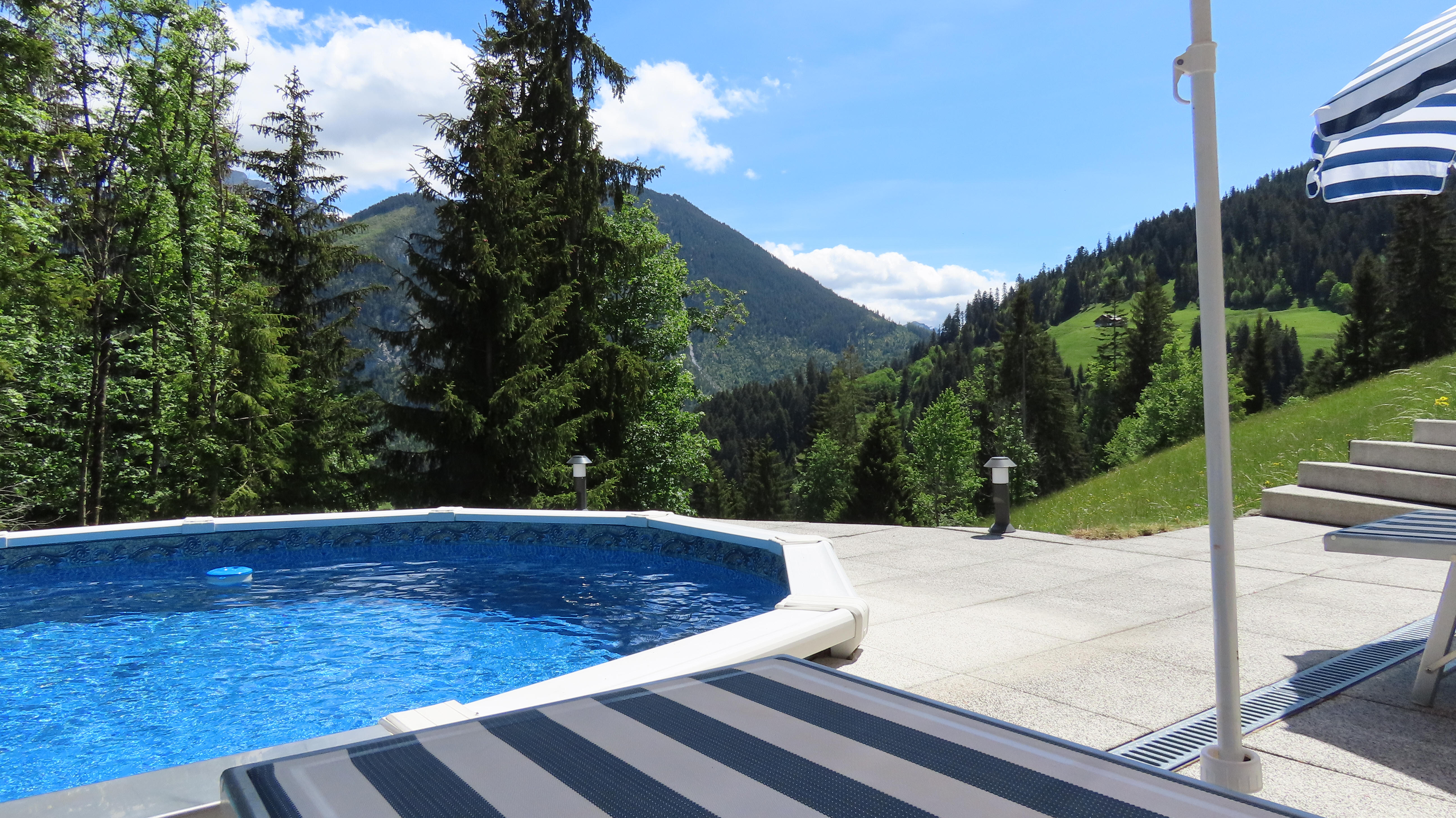 Pool und Umgebung Chalet Drachenstein in Zweisimmen