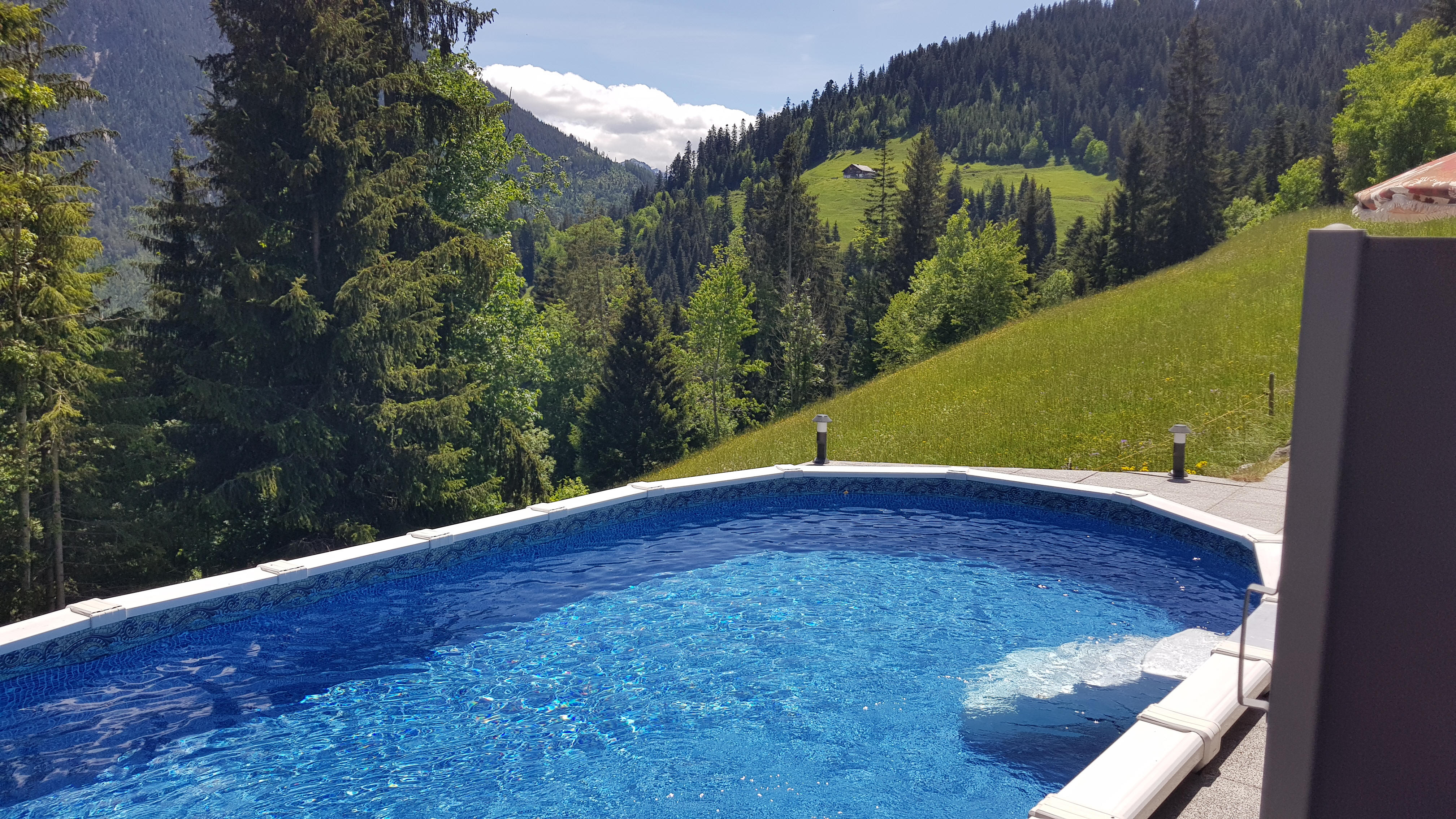 Pool und Umgebung Chalet Drachenstein in Zweisimmen